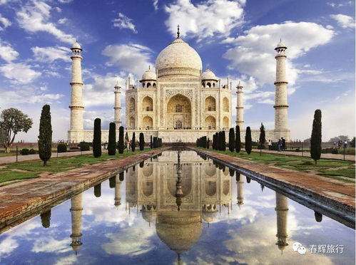 本期慧眼识图答案公布